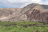  The valley leading to Changla - Ladakh 